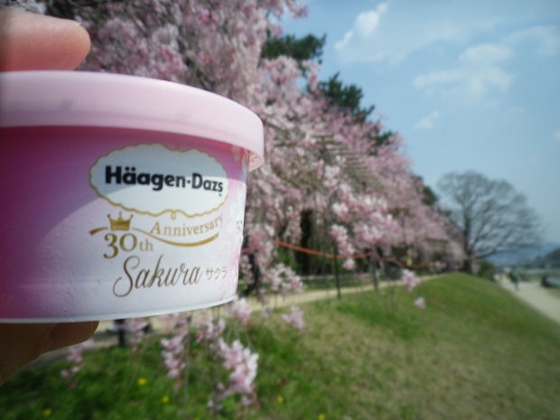Sakura Ice Cream 桜　アイス