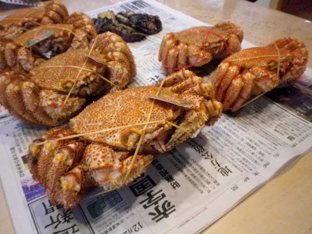 kegani 毛蟹 boiled horsehair crab from the sea of ohtsuko